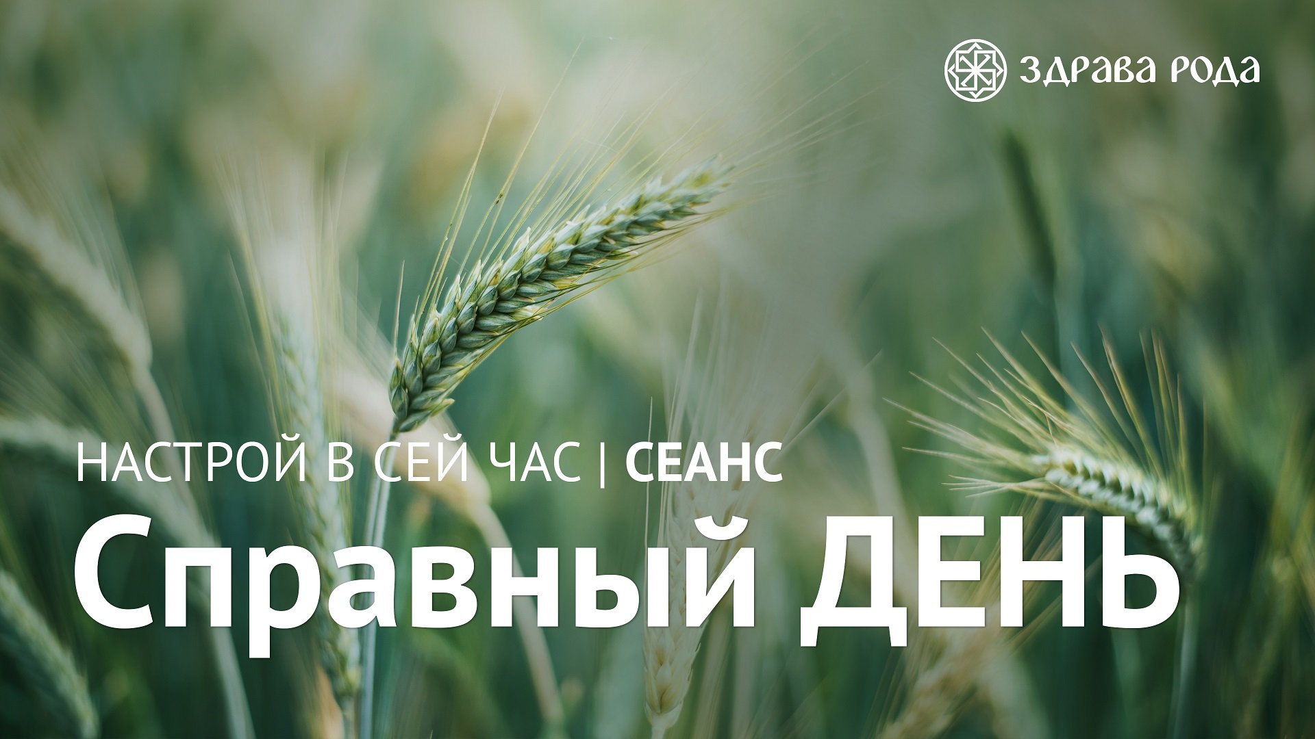 Справный день. Оздоровительный сеанс Здравы РОДА. смотреть онлайн