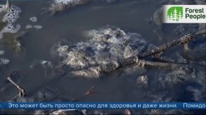 Экологические катастрофы 2021 года в России. ТОП-3 эко кошмара современной России.