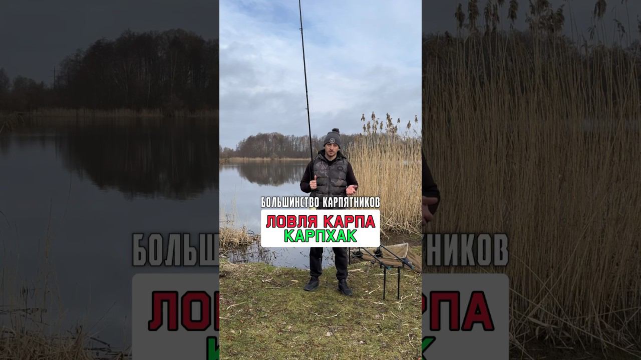 Карпфишинг ПОЛЕЗНЫЙ СОВЕТ #карпфишинг смотреть онлайн