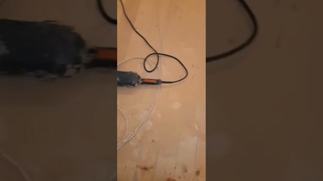 Шлифование пола. Полды жонып лактау. смотреть онлайн