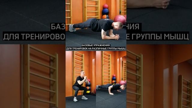 Упражнения, которые подойдут для начинающих спортсменов. смотреть онлайн