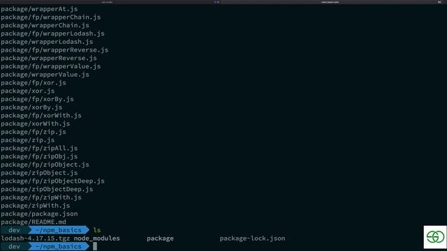 7. How npm installs particular modules смотреть онлайн
