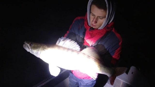 СУДАК КЛЮЕТ КАК ИЗ ПУЛЕМЕТА!!! Ночная РЫБАЛКА на СУДАКА с Лодки WindBoat 42 EVO! смотреть онлайн