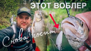 ПОСТАВИЛ снова ЭТОТ ВОБЛЕР и тут НАЧАЛОСЬ!!! / Открытие забродной рыбалки на голавля