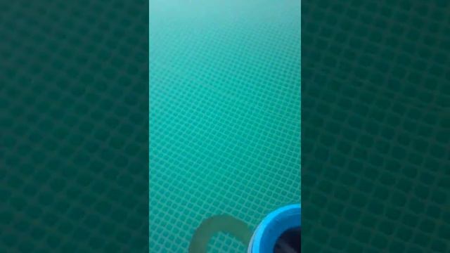 Песочный фильтр 2 недели работы смотреть онлайн