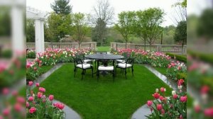 Красивые клумбы на даче. 50 идей по оформлению.