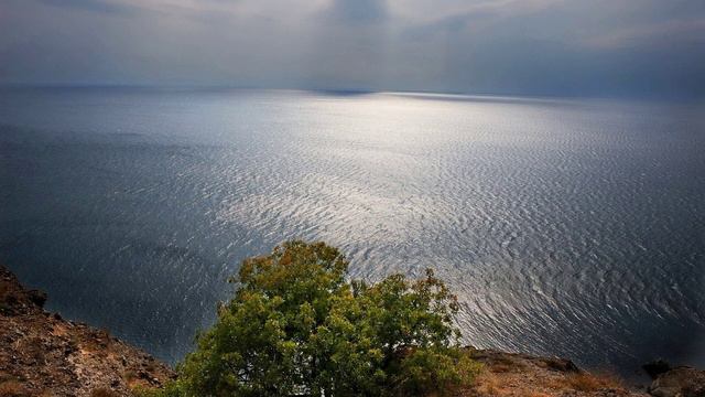 Yoga Music Meditation, Focus Music for Deep Concentration, Fall Asleep in 3 Minutes смотреть онлайн