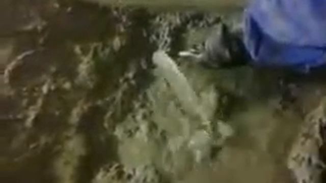 Гидроизоляция - остановка течей