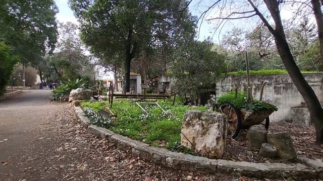 ИЗРАИЛЬ. Пещера Радуга. Монфор. Сад мозаичных скульптур Додзон смотреть онлайн