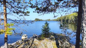 Отдых в Карелии. Онежское озеро. Уницкая губа