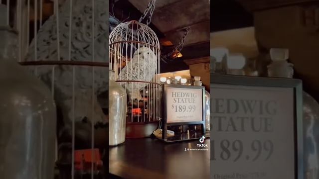Подарки от Гарри Поттер, Идеи, Цены в парке Хогвартс. Орландо, США, Сколько стоит сувенир в Америке смотреть онлайн