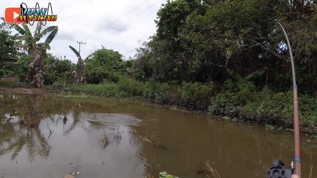 MANCING LIAR SEBENTAR DAPAT NILA BABON смотреть онлайн