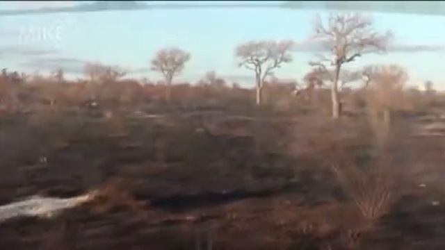 Управление водными ресурсами - MIKE by DHI смотреть онлайн