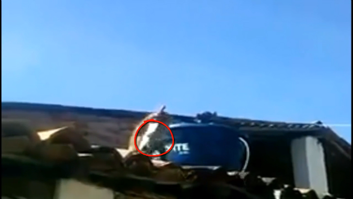 Вооружённая пьяная обезьяна смотреть онлайн