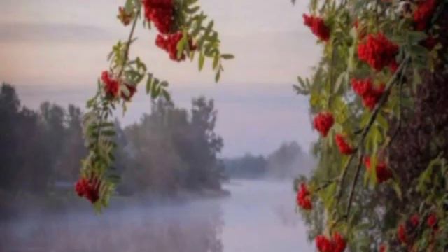 "Лесная река" (Асадов) Лидия Ватолина смотреть онлайн