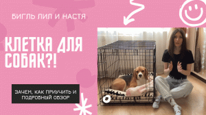 Клетка для собак| Как приучить к клетке|Обзор клетки для собак