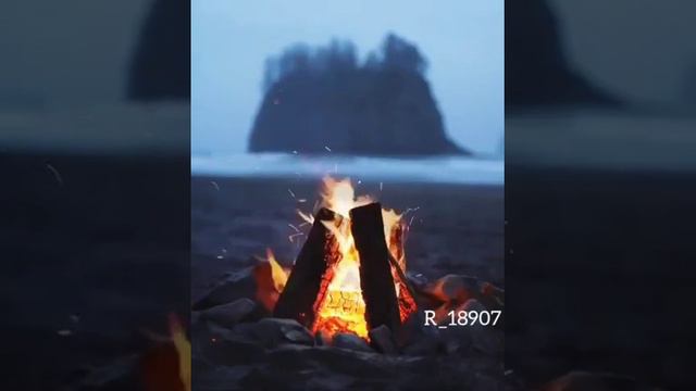 Шейх Мухаммад Гига смотреть онлайн