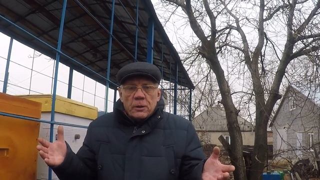 Аномальные зимы вносят коррективы в зимовку пчел Меняем подход к зимовке пчел смотреть онлайн