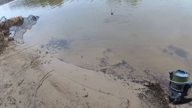 Ловля плотвы на фидер. Открытие фидерного сезона 2019, на обводном канале Киевского водохранилища. смотреть онлайн