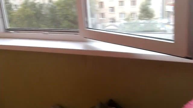 Двухкомнатная квартира в Тюмени смотреть онлайн