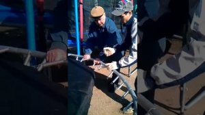 Как правильно собрать батут: пружины