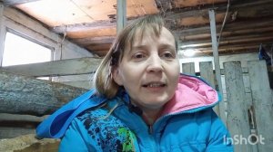 Сколько стоит козье молоко!? Как получить прибыль от коз???