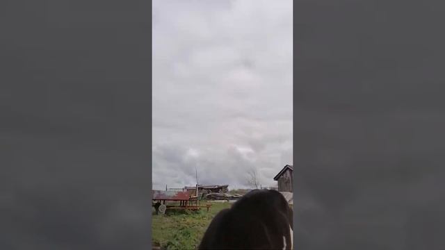 Бычок научился ... смотреть онлайн