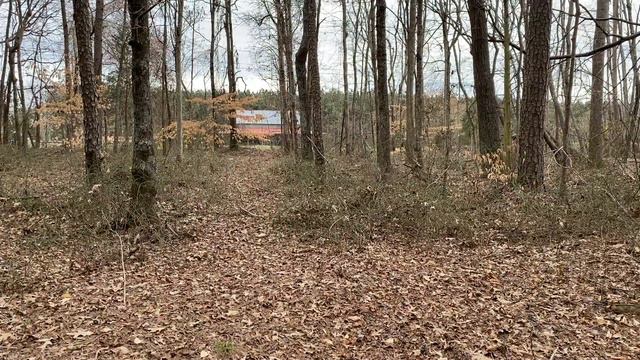 Gold Hill Mines Historic Park - Gold Hill, NC, Attraction смотреть онлайн