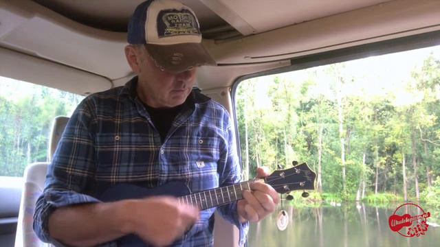 Flight travel ukulele - blauw смотреть онлайн