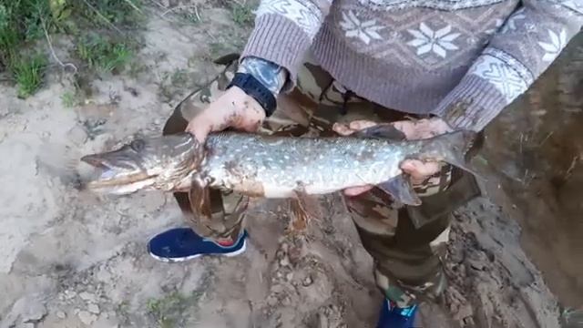 Рыбалка на малой речке. Окунь, щука, шашлык из курицы. Посиделки у костра до глубокой ночи. смотреть онлайн