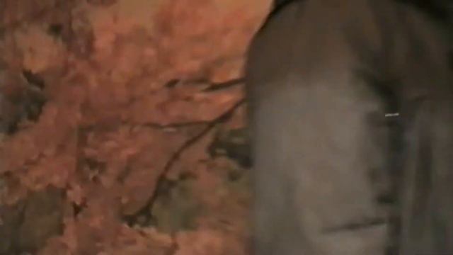 Если ты рядом со мною - гр.Добрый День