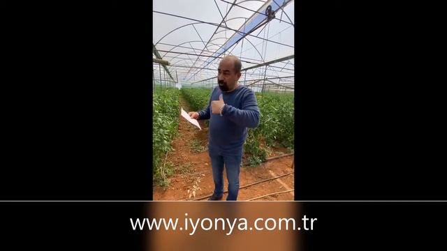 iyonya Frekans ile Aklınızdaki Sorulara Kısa Kısa смотреть онлайн