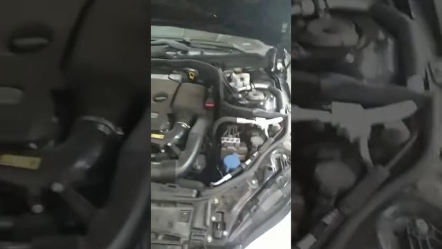 107735656 596383144599691 2748832669058291858 n смотреть онлайн