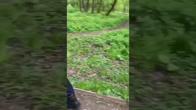Полицейский режим. Задерживают женщину с ребенком. Это же не пьяные компании шашлычков разгонять смотреть онлайн
