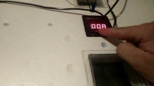 Инкубатор несушка))