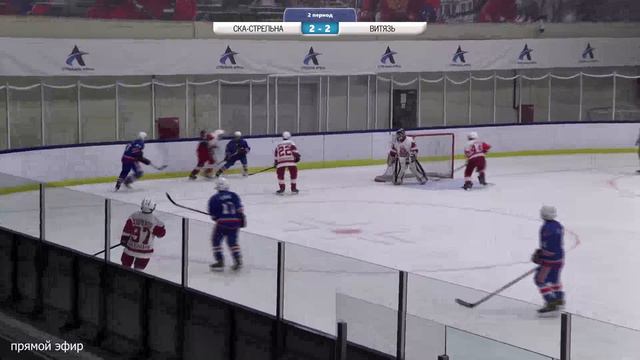 «СКА-Стрельна» (г. Санкт-Петербург) - «Витязь» (г. Подольск) смотреть онлайн