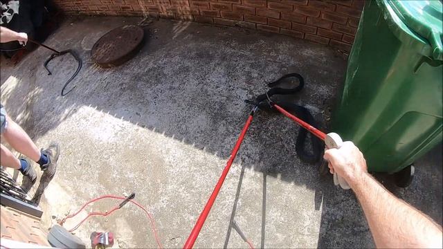 RESCUE & RELOCATION OF A MAMBA PAIR! смотреть онлайн