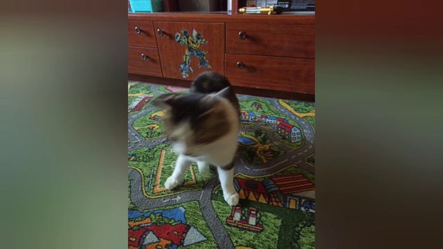 Mus Hity Prectavlaet_-..—_ OMG Mus