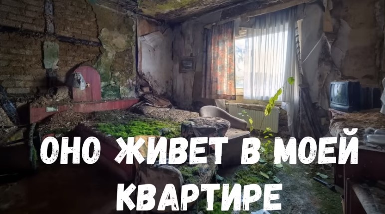 Страшная история. Оно живет в моей квартире.