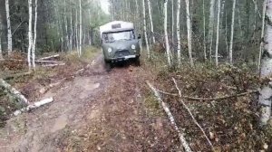 По грязи,да по пенькам.