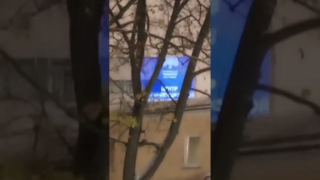 Winter Has Begun. первый снег.