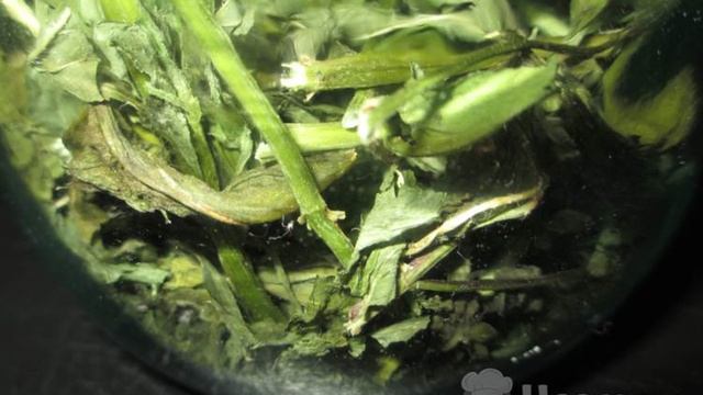 Книга рецептов