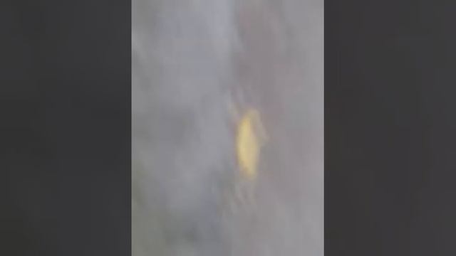 Макс не вышел будет другая серия смотреть онлайн