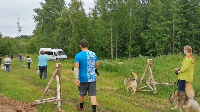 Фабрика хаски смотреть онлайн