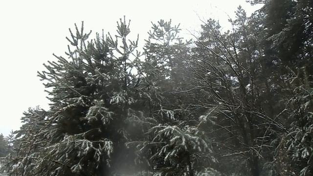 25 февраля народный праздник День Алексея. Именинники дня. Что нельзя делать. Народные приметы смотреть онлайн