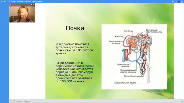 Елена Бахтина  Детокс программы