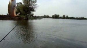 РЫБАЛКА " ДЕД"-  СОМ май июнь  Астрахань Полдневое 2008