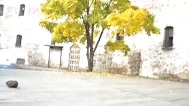 Выборг смотреть онлайн
