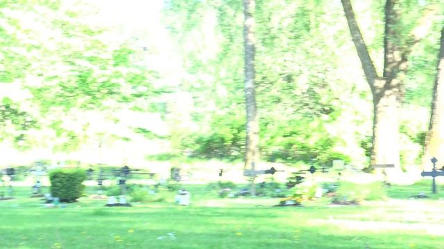 2018 05 25. Очередной тест камеры FDR- AX33 смотреть онлайн