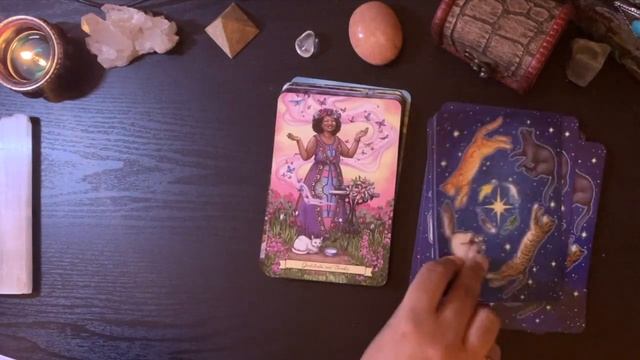✨Is The Everyday Witch Oracle Worth The Hype? смотреть онлайн